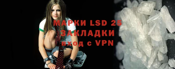 индика Тобольск
