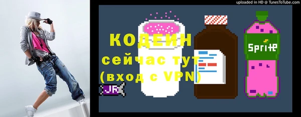 гашик Богородицк