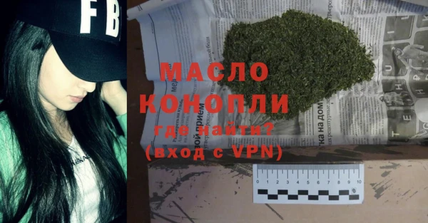индика Тобольск